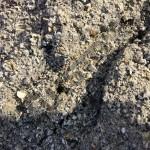 Grys granitowy (piach) 0-2mm